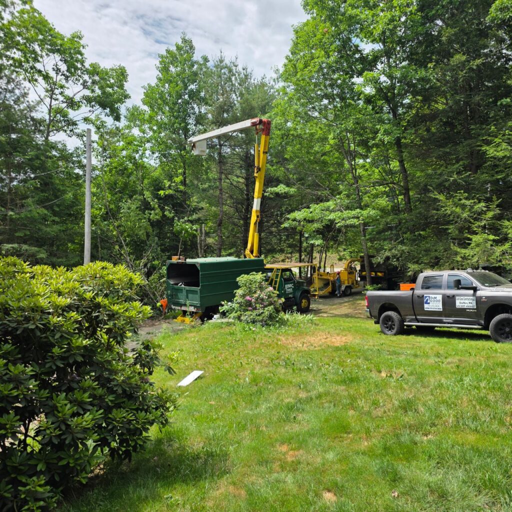 Tree removal crew using professional equipment to safely remove trees from a residential property.
