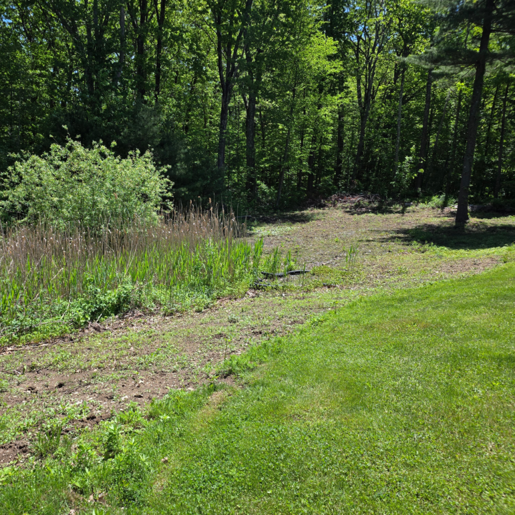 brush clearing and removal on a residential Central Massachusetts property
