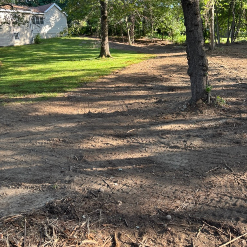 Overgrown lot reclamation in Central Massachusetts