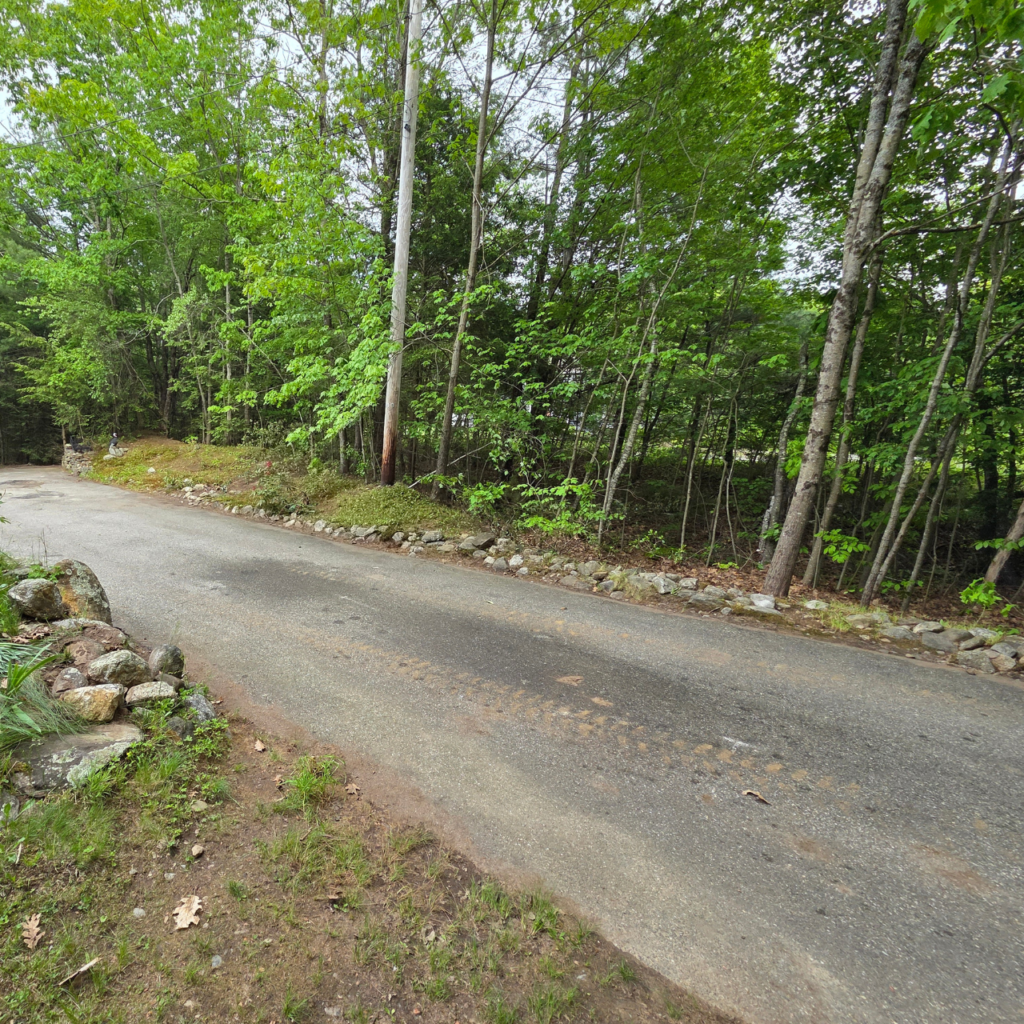 Fence line clearing along a Central Massachusetts property edge